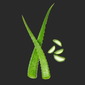 Ina Labs Ingredient